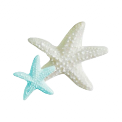Starfish picture